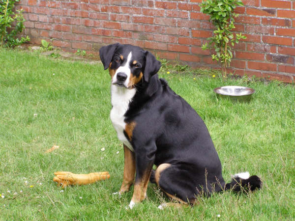 Beschrijving: Beschrijving: R:\inetpub_datafox\Bruno\doris\027.jpg